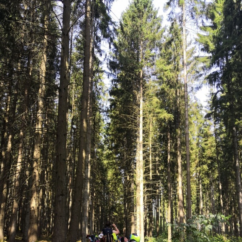wolven groepskamp 2019
